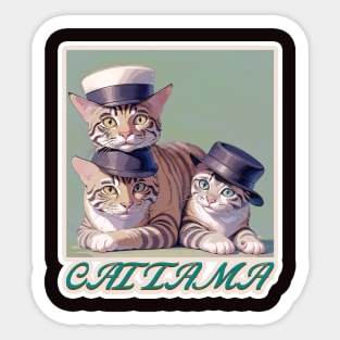 Cat Tama,Tama Super Station Master Sticker